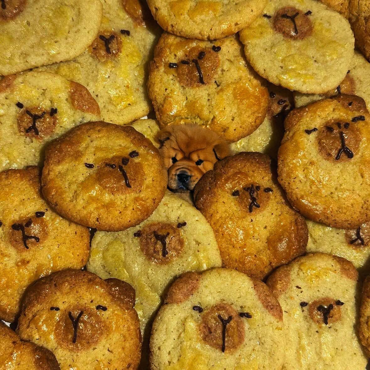 Gluten Free Chinese Almond Cookies CAPYBARA! Chow Chow?? Made To Order!
