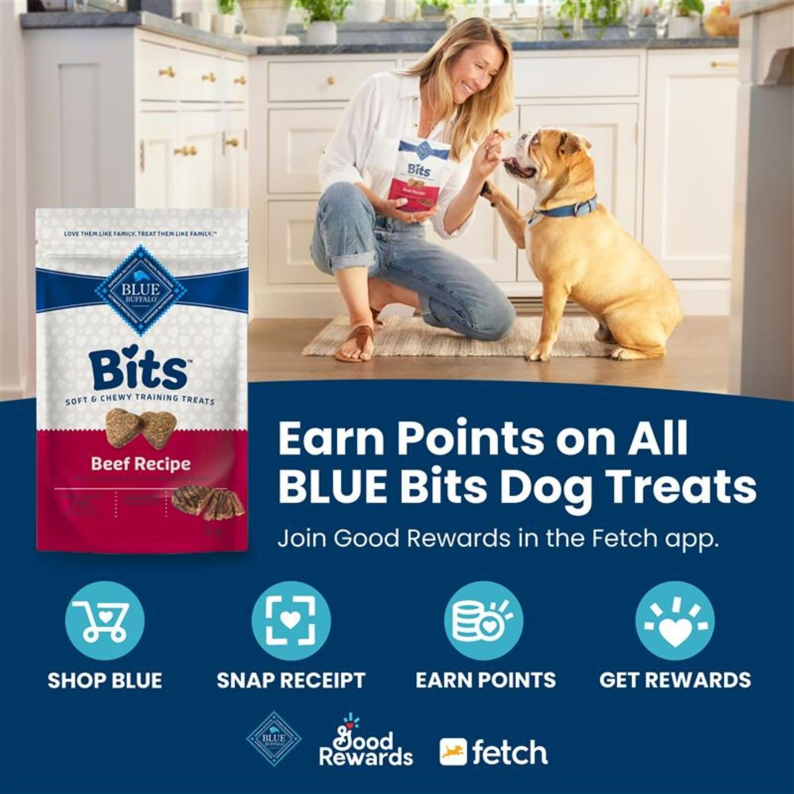 Blue Buffalo BLUE Bits Dog Training Treats – Chicken, Soft, Natural, DHA – 19oz