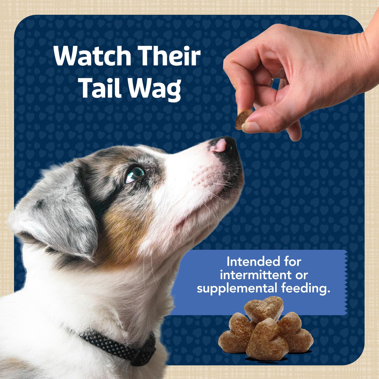 Blue Buffalo BLUE Bits Dog Training Treats – Chicken, Soft, Natural, DHA – 19oz