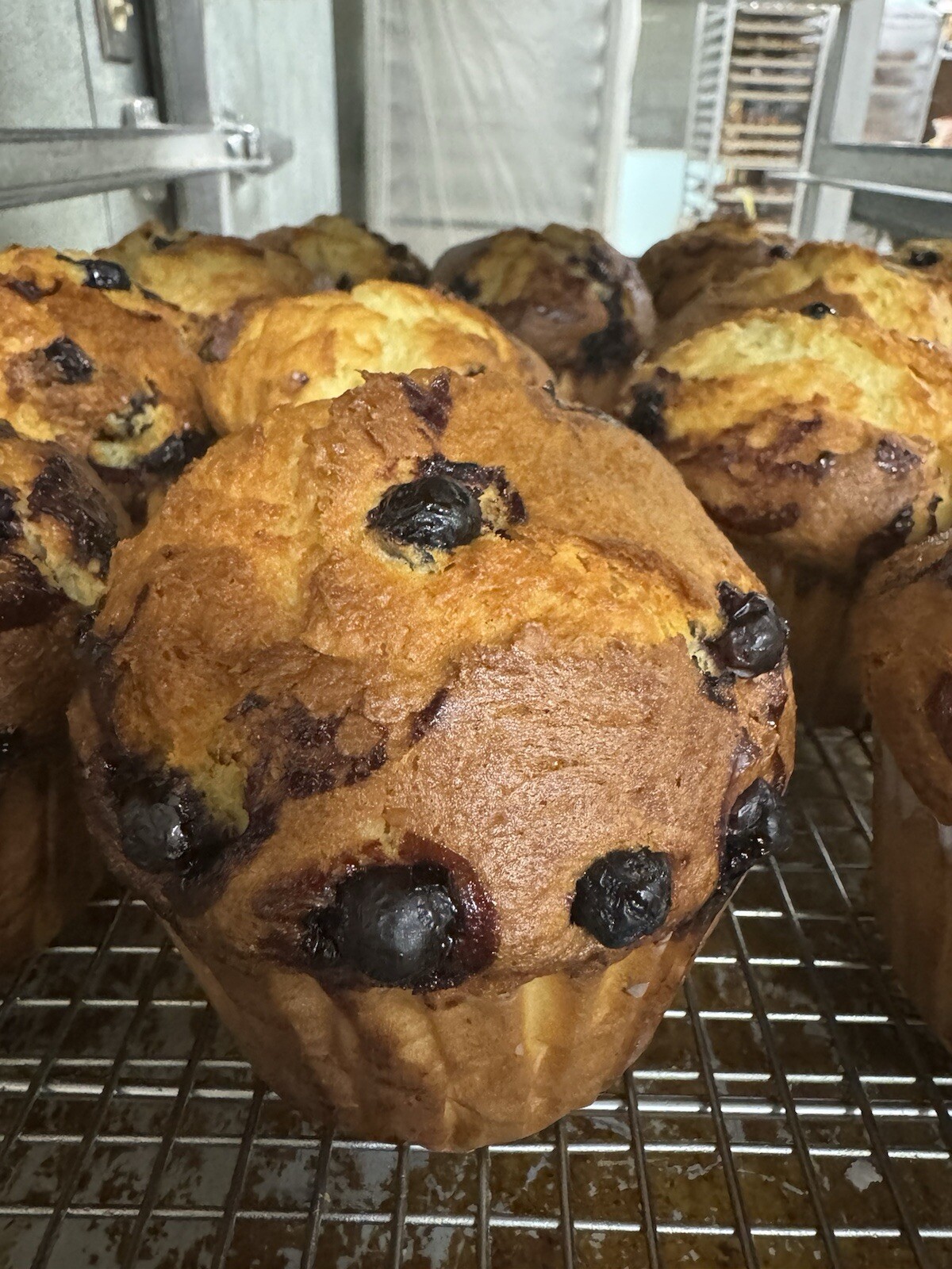 Blueberry Muffins -4 Count Jumbo – Individually Wrapped
