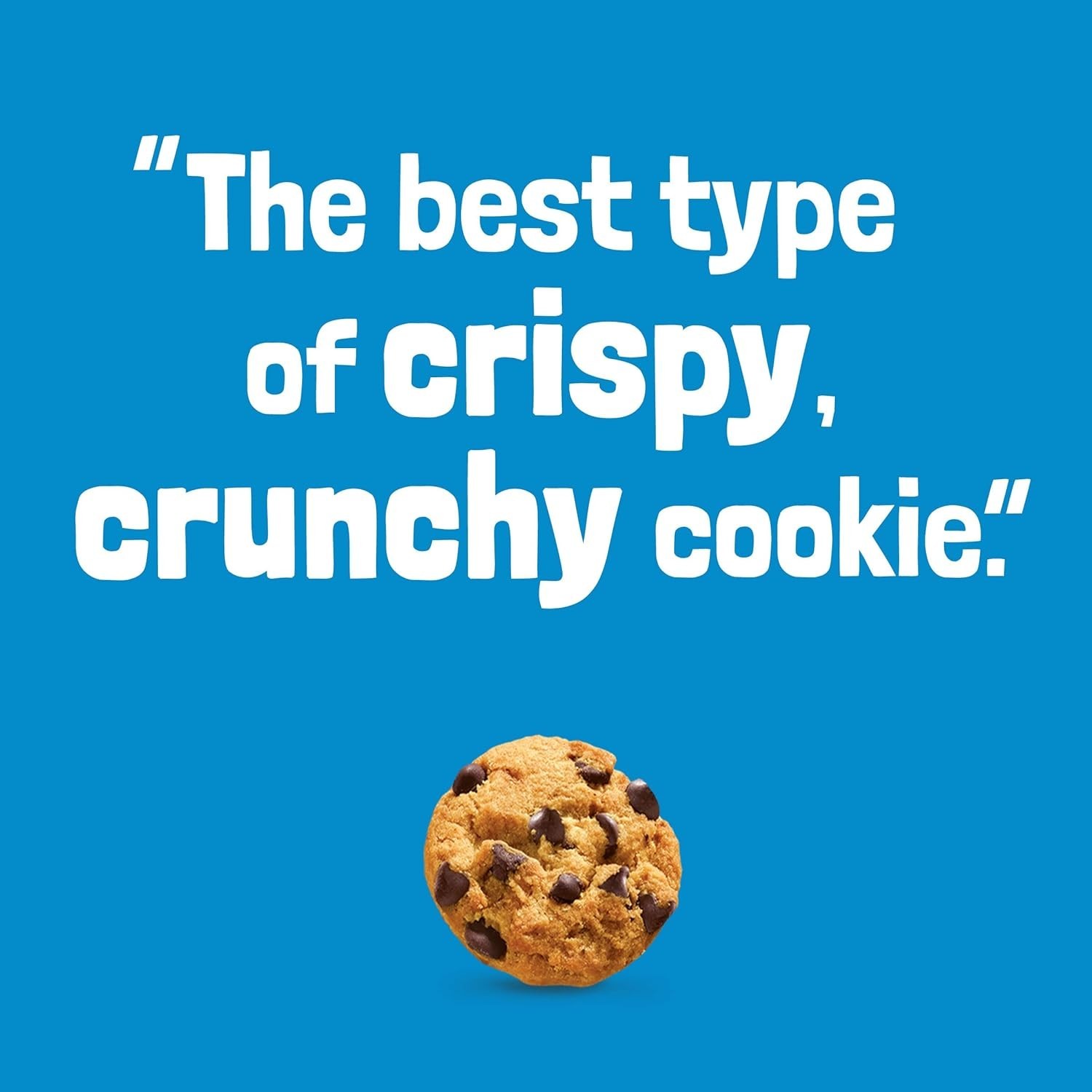NABISCO Crispy Chocolate Chip Cookies, 25.3 oz Party Size – Endless Enjoyment!