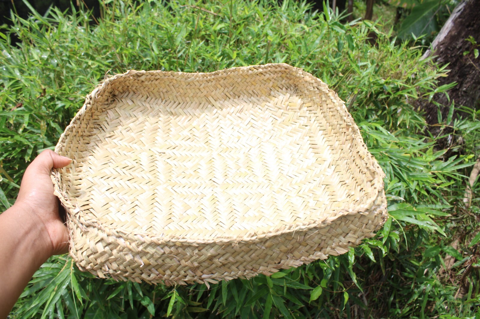 CEYLON Reed Basket | Punnet | WATTI | tray Handmade woven 100% natural FREE POST